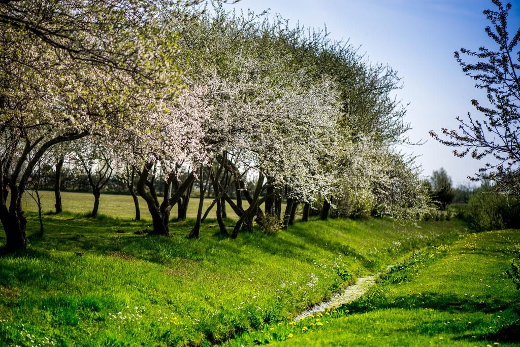 فندق Ergli Bernāti المظهر الخارجي الصورة